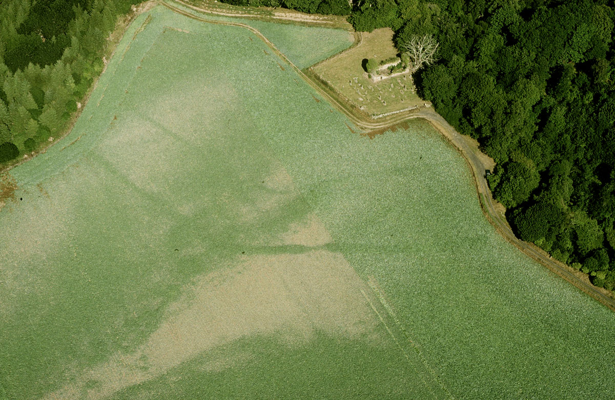 Medieval Monastery or Cathedral - Cropmark